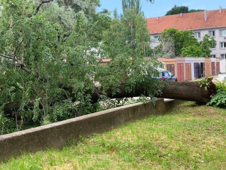 PRÁVE TERAZ: Spadnutý strom na Spádovej ulici v Seredi