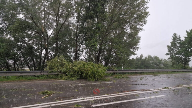 POZOR: Silná víchrica zanecháva konáre na cestách, aj na diaľnici D1! – AKTUALIZOVANÉ