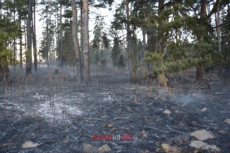 Enviropolícia zastavila trestné stíhanie maloletých, ktorí podpálili lúky a les v Tatranskom národnom parku  