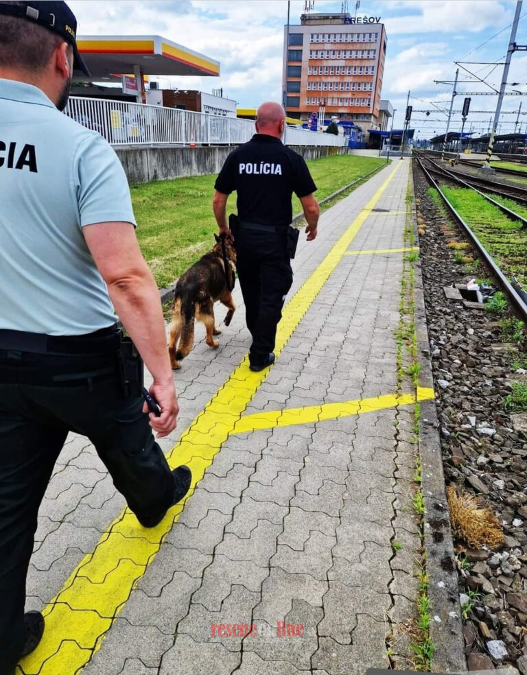 Počas policajnej akcie ,,Aktívny štít“ zameranej na priestory železničných staníc a ich okolia zaznamenala polícia za 24 hodín 76 priestupkov.